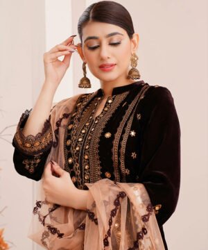 Black & Gold Partywear Salwar – Luxe Look