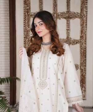 Designer Salwar Suit