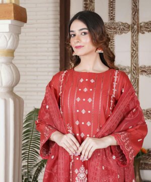 Traditional Embroidered Salwar – Red Classic